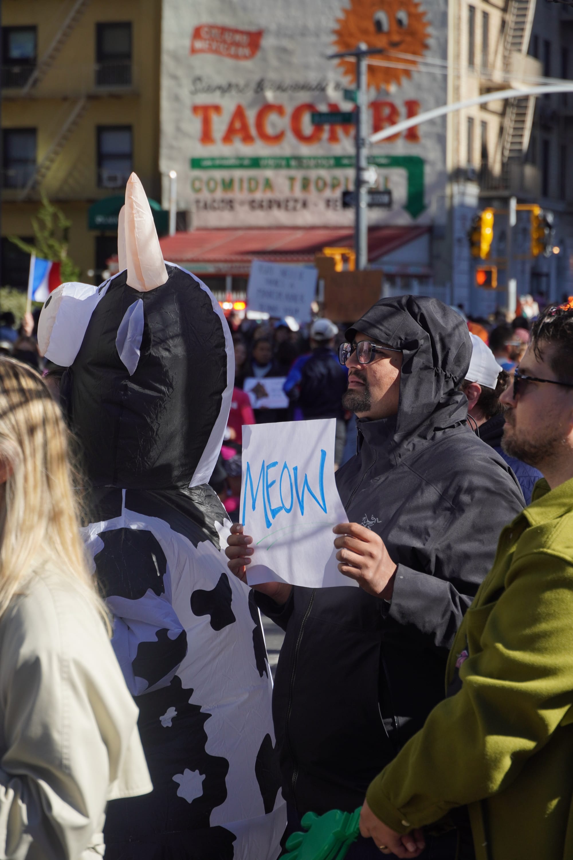 Exploring New York in 26.2 miles